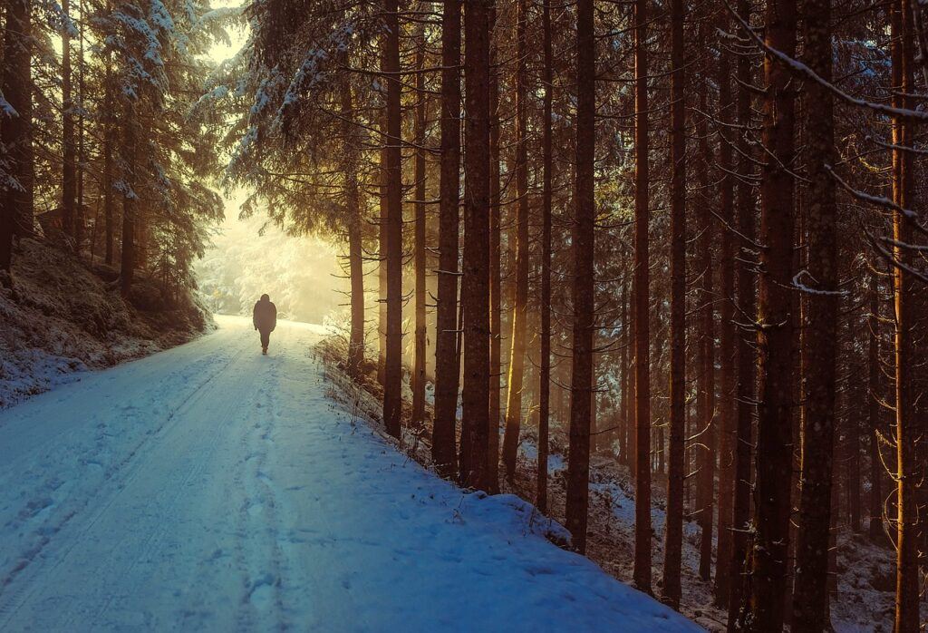 Persona caminando sola por un sendero nevado en un bosque, hacia una luz brillante al final del camino.
