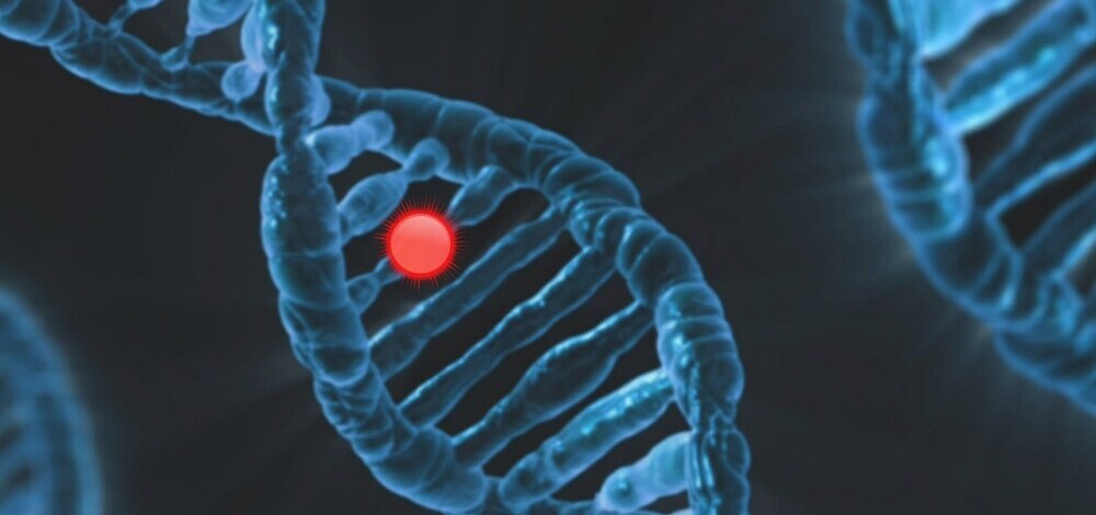 Genoma Humano